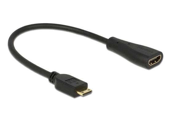 Delock Adapterkabel Mini-HDMI - HDMI Schwarz