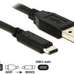 DeLock USB3.1 Kabel, A - C, 1m, Schwarz | Bild 2