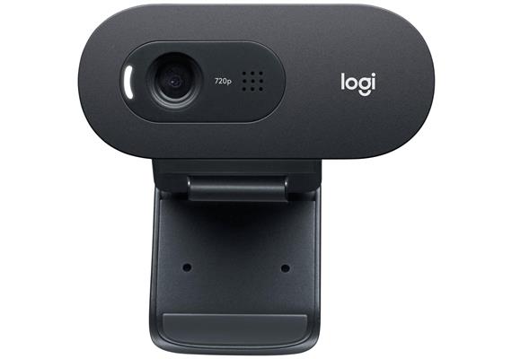 Logitech Webcam C505e HD Bulk