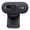 Logitech Webcam C505e HD Bulk | Bild 2