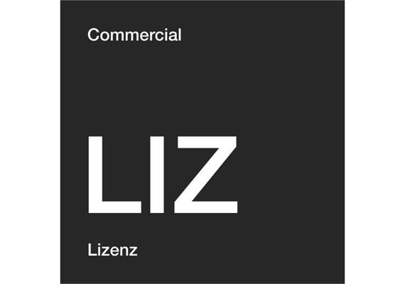 TechSmith Snagit, 25-99 User, Legacy Business License, Renewal, 3Y, ML