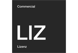 TechSmith Snagit, 25-99 User, Legacy Business License, Renewal, 3Y, ML